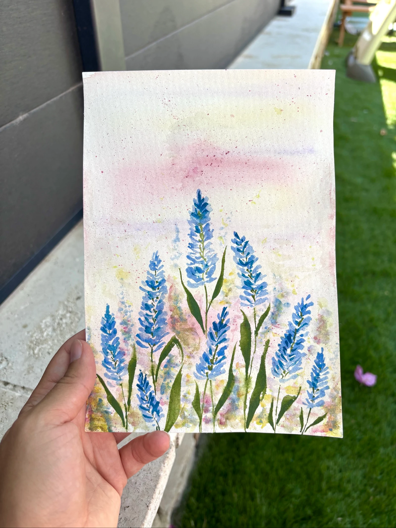 Dessin aquarelle champs de lavande 
